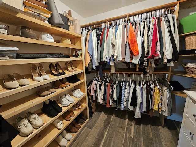 spacious closet featuring dark wood-type flooring