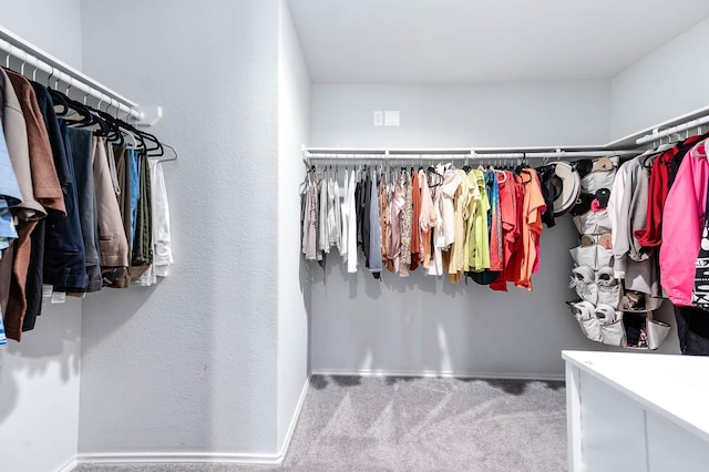 walk in closet featuring carpet flooring