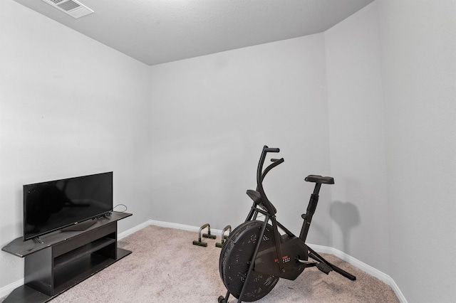 workout room featuring carpet flooring