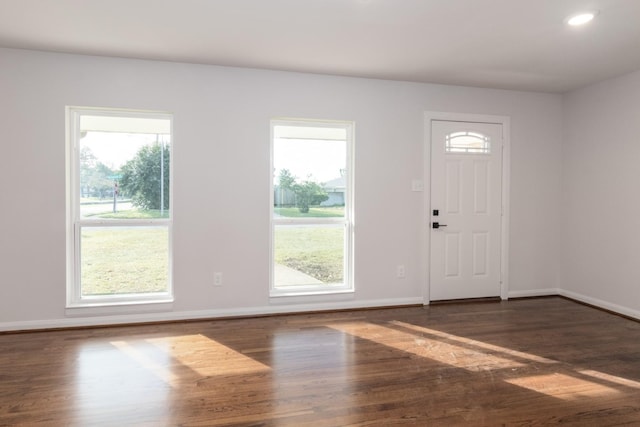 entryway featuring dark hardwood / wood-style flooring