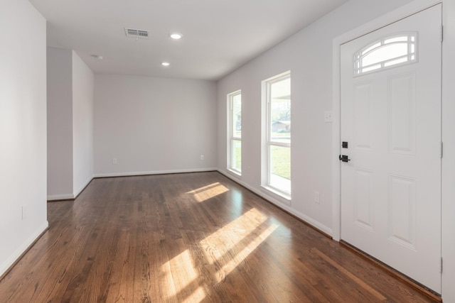 foyer featuring dark wood-type flooring