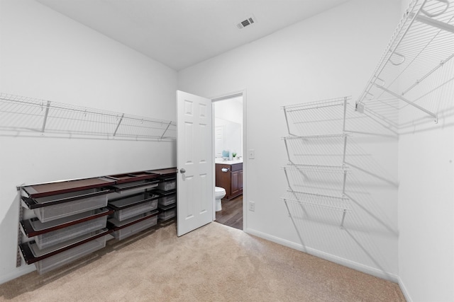 spacious closet featuring light colored carpet