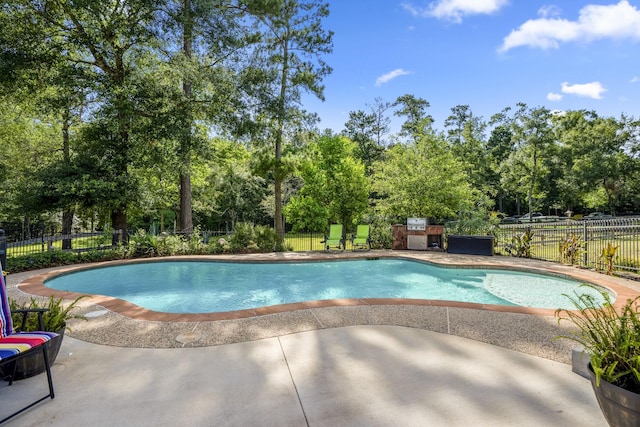 view of swimming pool featuring a patio