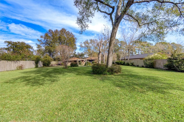 view of yard