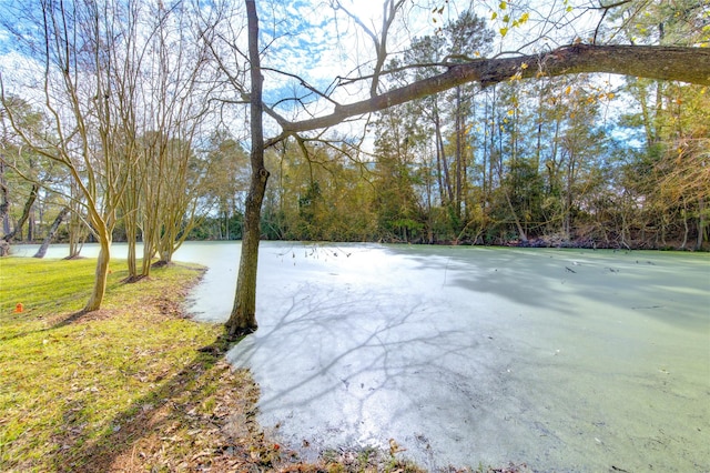 view of yard featuring a water view