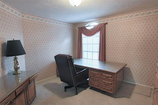 office area with a textured ceiling and light colored carpet