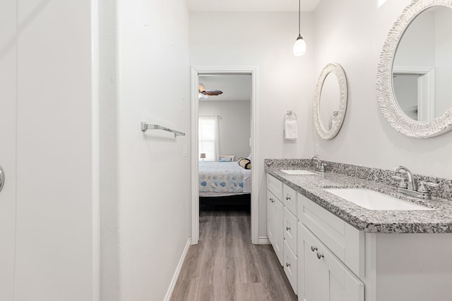 bathroom featuring wood-type flooring and vanity