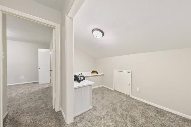 additional living space featuring a textured ceiling, lofted ceiling, and light colored carpet