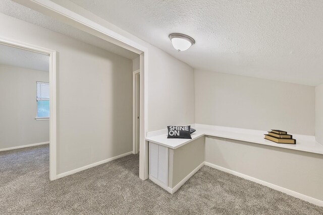 unfurnished office featuring carpet and a textured ceiling