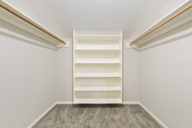 walk in closet with dark carpet