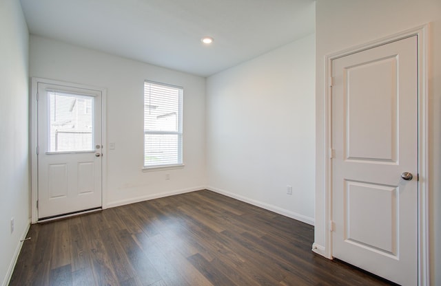 entryway featuring dark hardwood / wood-style flooring