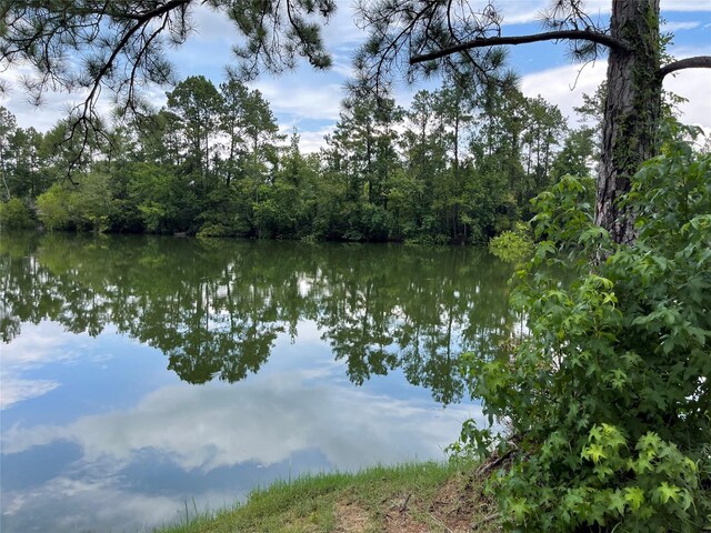 6 Smith Loop S, Cleveland, TX 77327