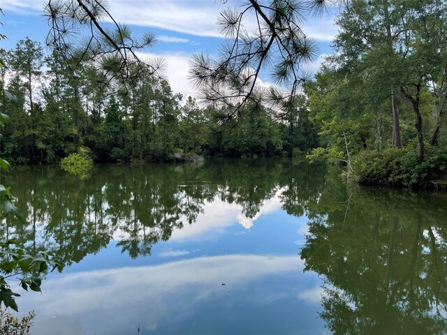6 Smith Loop S, Cleveland, TX 77327