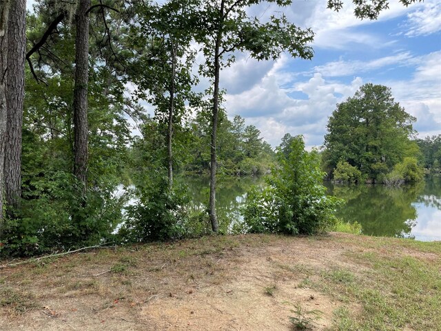 6 Smith Loop S, Cleveland, TX 77327