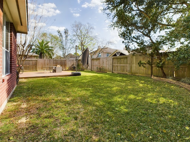 view of yard featuring a patio