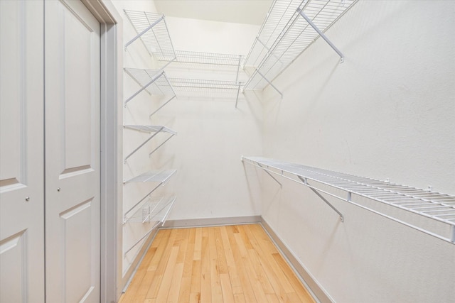 walk in closet featuring hardwood / wood-style flooring