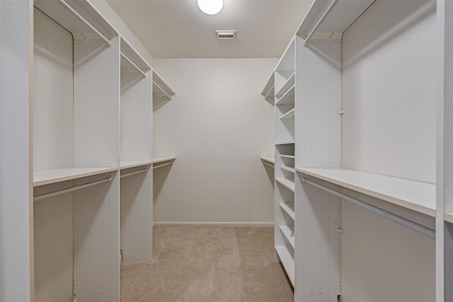 walk in closet with light colored carpet