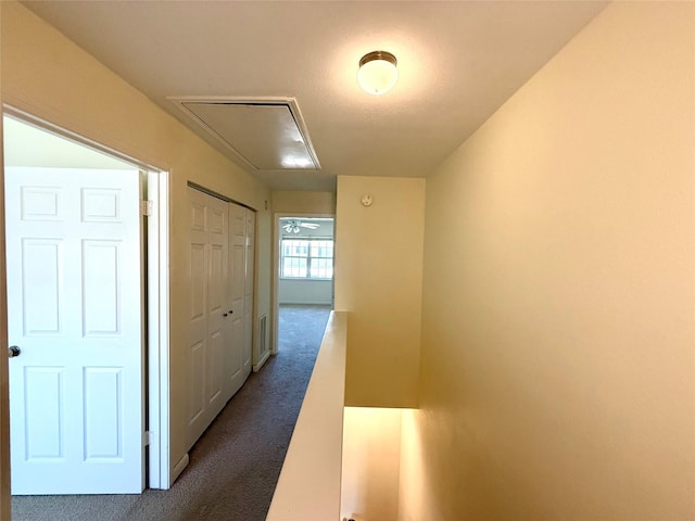 hallway featuring carpet floors