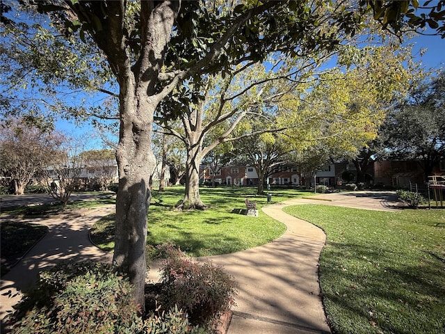 view of property's community with a yard