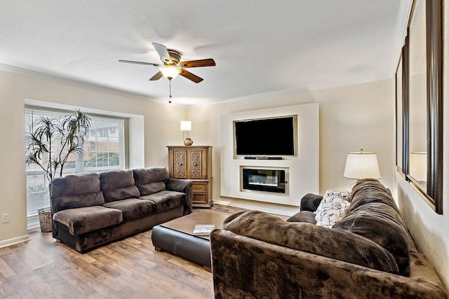 living room with ceiling fan, light wood-type flooring, and crown molding