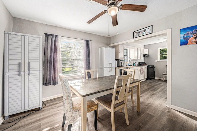 dining area with a healthy amount of sunlight, light hardwood / wood-style floors, and a textured ceiling