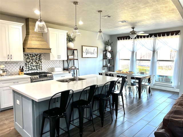 kitchen with sink, high end stainless steel range, white cabinets, and a kitchen island with sink