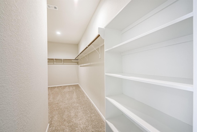 walk in closet with carpet flooring