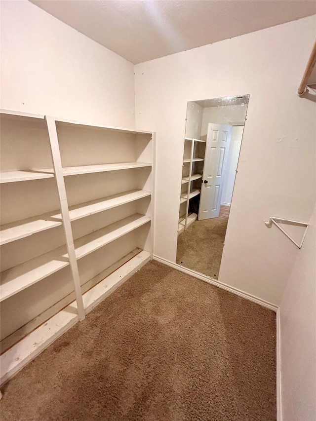 spacious closet with carpet flooring