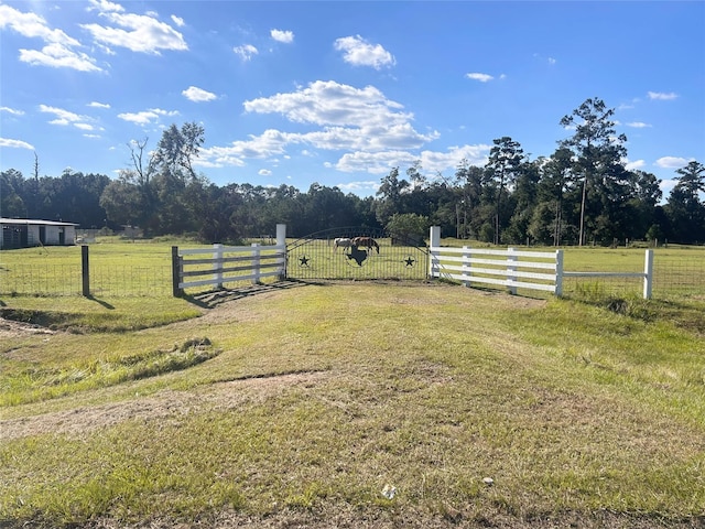 view of yard with a rural view