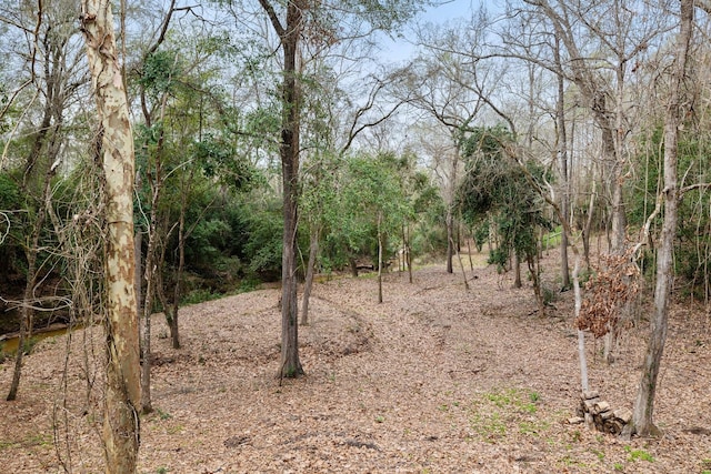 view of local wilderness