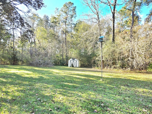 view of yard with a storage shed