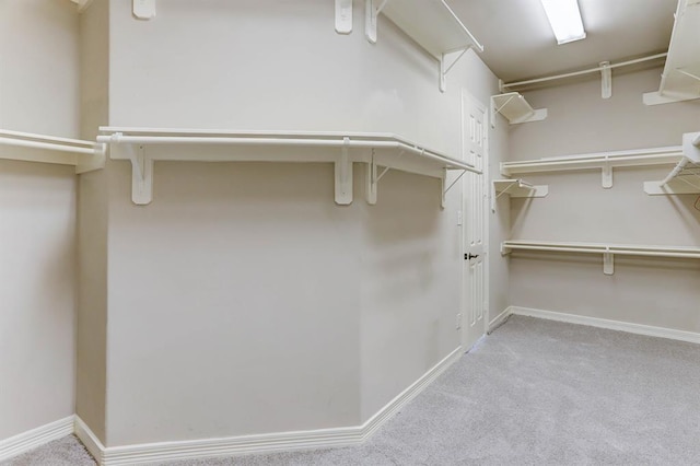 spacious closet featuring light carpet