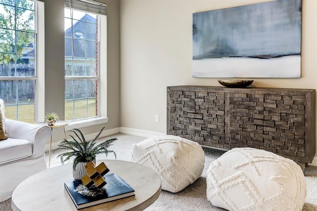 living area featuring carpet floors and a wealth of natural light