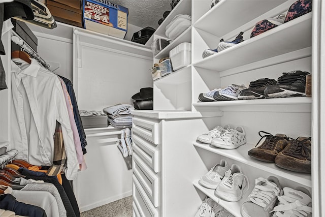 walk in closet featuring carpet floors