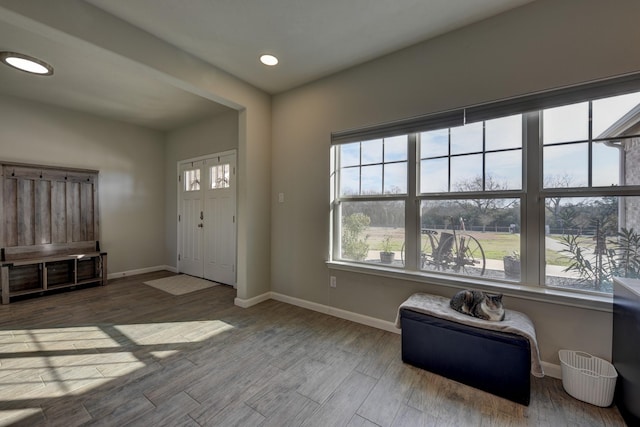 foyer entrance with a wealth of natural light