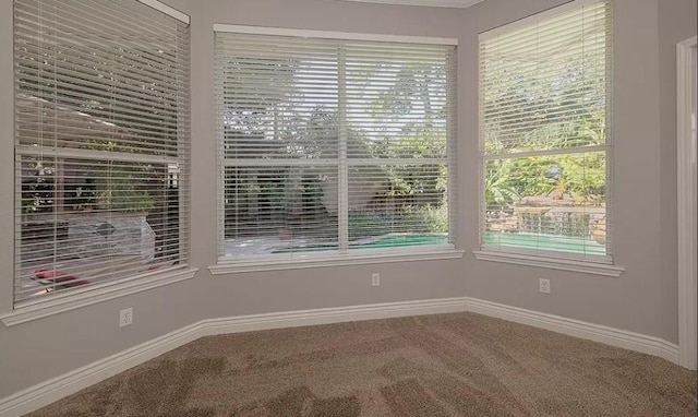 empty room with crown molding and carpet flooring