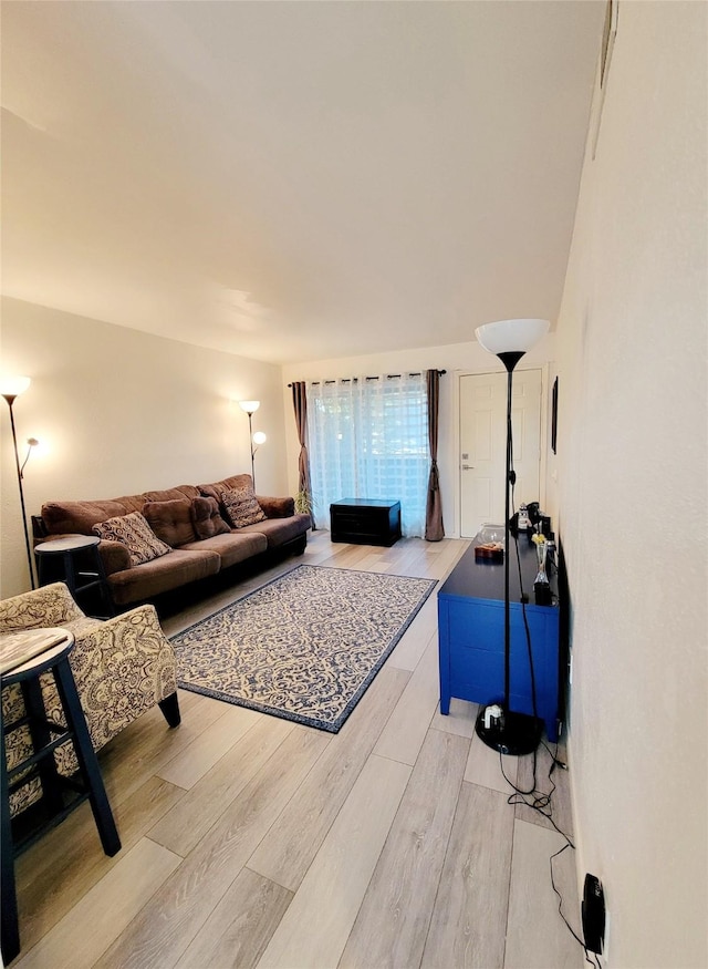 living room with light hardwood / wood-style floors