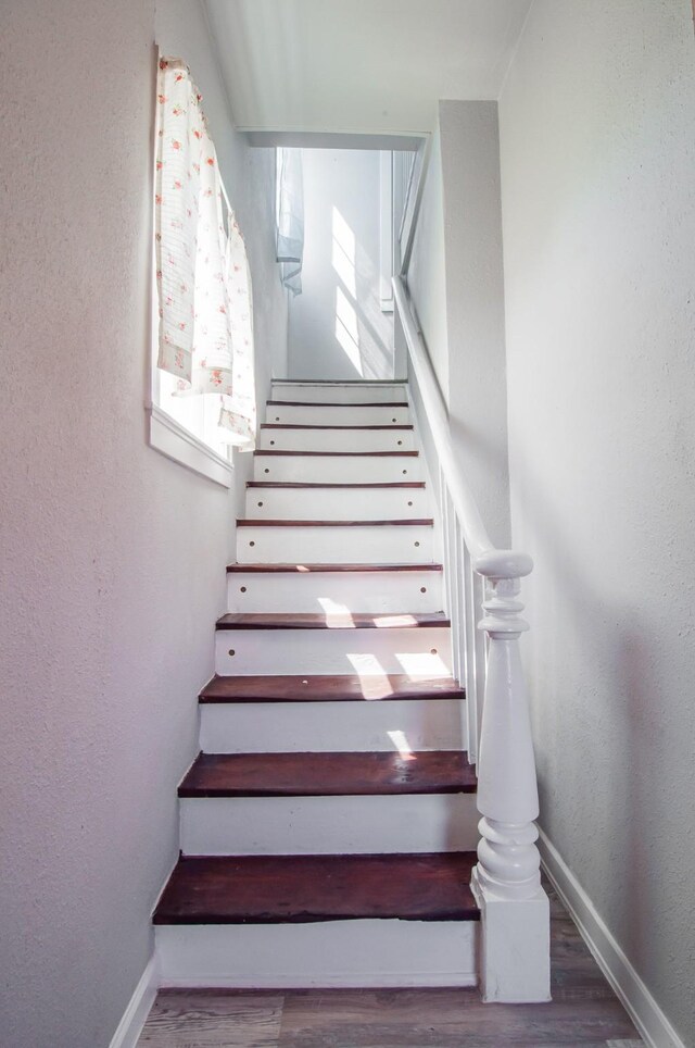 staircase with hardwood / wood-style flooring