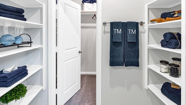 walk in closet with carpet flooring