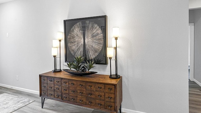 interior details with baseboards and wood finished floors