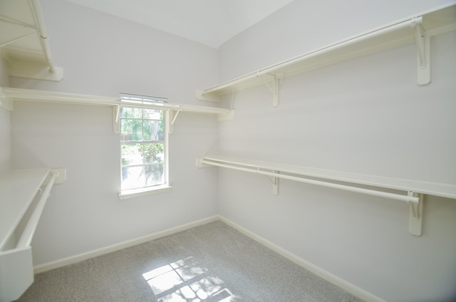 spacious closet with carpet flooring