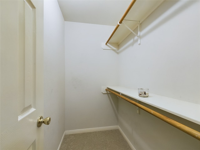 spacious closet featuring carpet floors