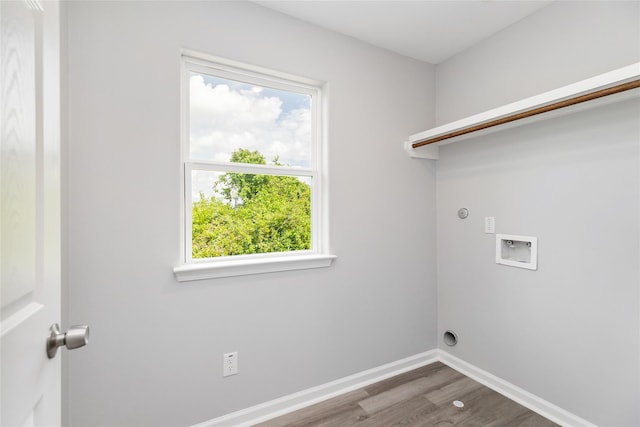 washroom featuring dark wood-type flooring, washer hookup, and a healthy amount of sunlight