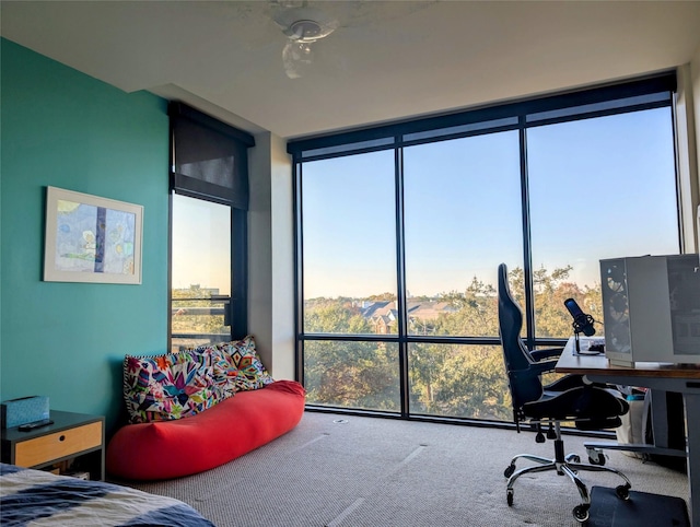 bedroom with floor to ceiling windows, carpet floors, and multiple windows