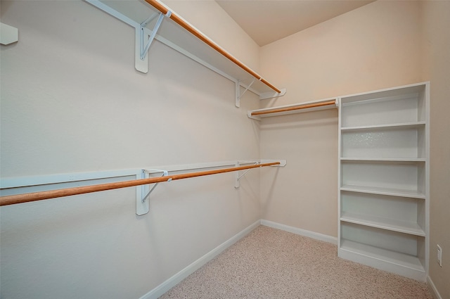 walk in closet with carpet floors