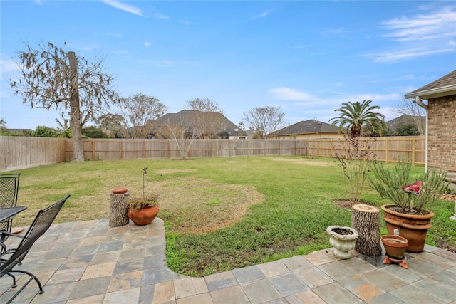 view of yard with a patio area