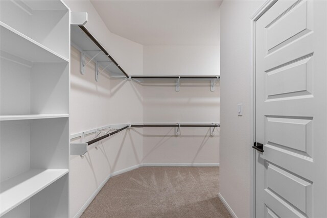 walk in closet with light colored carpet