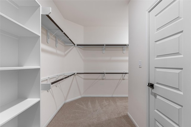 walk in closet with light carpet