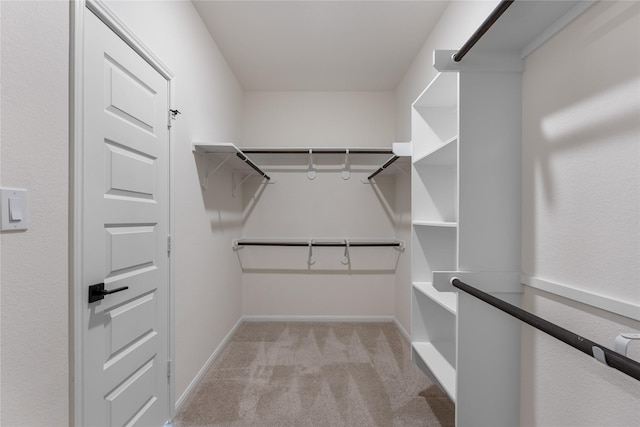 spacious closet with light carpet