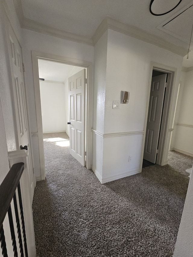 hallway with carpet flooring and ornamental molding